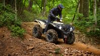 Yamaha Grizzly 700 TA EPS SE DESERT