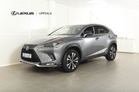 Lexus NX 300h AWD Kyushu Edition Drag M-värmare