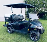 EzGo 4-sits Elite 2x2 Freedom, litumbatteri