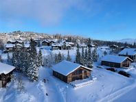 Åre Björnen, eget hus i härlig miljö under v. 6