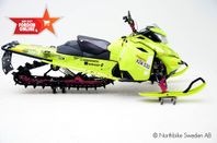 Ski-Doo Freeride 154" 800