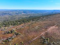 Skog och jakt i Sälenfjällen