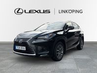 Lexus NX 300h AWD Executive Premium Navigation Drag Euro 6