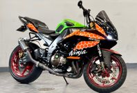 Kawasaki Ninja ZX-10R 1.0 1000CC MED KOMPLETT STUNT KIT UNIK