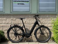 Trek Verve+ 3 Lowstep Satin Trek Black 545 Wh Stl M