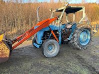 Guldkalv Massey Ferguson