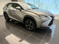 Lexus NX 300h AWD