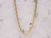 Ankarhalsband i 18K Gul Guld - 19,4gram - 55cm