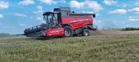 Massey Ferguson Beta 7370