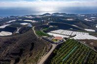 Finca med panoramautsikt och mangoplantage