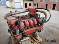 Fiat V8 Dieselmotor 823-SRM marinmotor / Boat engine