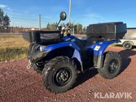 Yamaha Grizzly YFM450 EPS 0.45 4WD