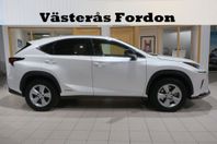 Lexus NX 300h AWD 2.5 AWD E-CVT Kyushu Edition Drag