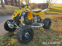 Can-Am DS450