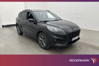 Ford Kuga Plug-In AWD ST-Line Kamera B&O Drag