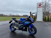 Yamaha R7 GYT R