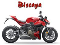 Ducati Streetfighter V4 *Nyhet 2025*