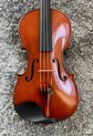 Solist fiol violin 1893