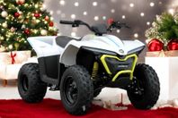 CFMOTO EV110 | ELEKTRISK BARN FYRHJULING (H) JULKLAPPS TIPS