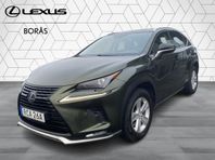 Lexus NX 300h AWD Lexus NX 300h AWD Kyushu Edition, E-CVT, 1