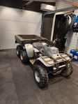 Polaris Trail Boss 4×6