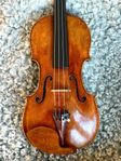 Viola Altfiol Martin Leopold Widhalm ca 1790