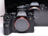 Sony Alpha 1