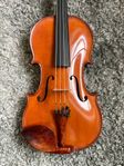 Collin Mezin Fils 1923 fiol violin