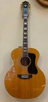 Guild F512 Natur Gösta Linderholm från 1974