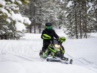 Arctic Cat