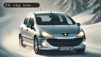 Peugeot 307 5-d 1.6 XR - *Nybesiktigad/Välskött*