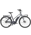 REA: Trek District+ 2 Stagger 500Wh stl L