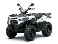 Kawasaki 450 T-cat BruteForce