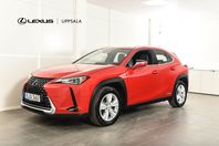 Lexus UX 250h Comfort AWD Drag