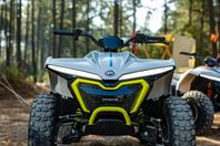 CFMOTO EV110