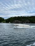 Sea Ray Sun Sport 230 | SeaRay kampanj