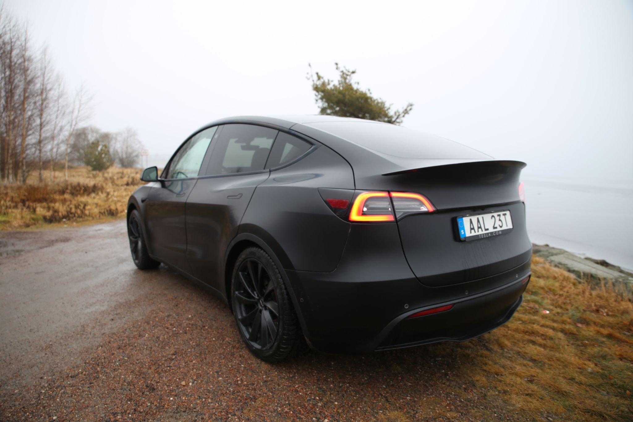 Tesla Model Y Performance, 534hp, 2022