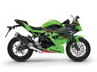 Kawasaki NINJA 125 *BOKA NU*