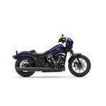 Harley-Davidson FXLRS Low Rider S 117