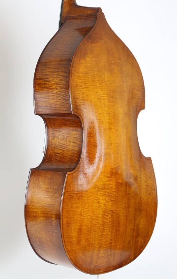 Kontrabas Ply Pro 2025 Gamba