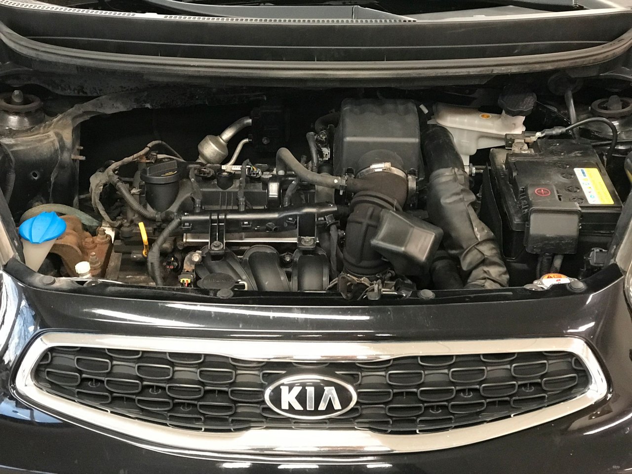 Kia Picanto 5-dørs 1.0 MPI Manuell, 5-trinn, 67hk, 2016