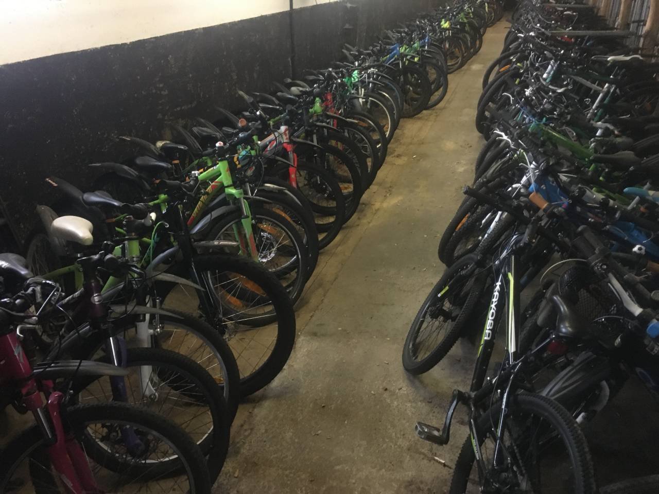 Ca 500 barn o ungdomscyklar