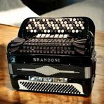 Dragspel Brandoni