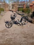 Elcykel Ecodrive Ambassador