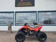 CFMOTO 110EFI. Hjälm och glasögon från CF ingår