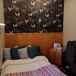 Rum uthyres - hus i Umeå - 1 rum, 6m²