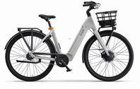 Ecoride Ambassador Gen4 - Frontmotor