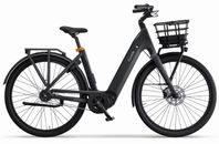 Ecoride Ambassador Gen4 - Mittmotor