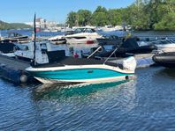 Sea Ray SPX 190 | SeaRay sommarkampanj