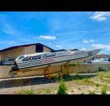 Cougar 46 pleasure version
